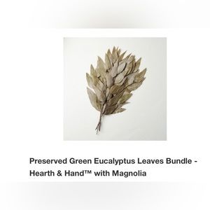 NWT‼️Hearth & Hand with Magnolia Preserved Green Eucalyptus Green Bundle